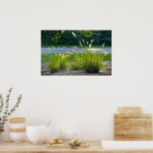 Cassian Fountain Grass, Poster (Keuken)