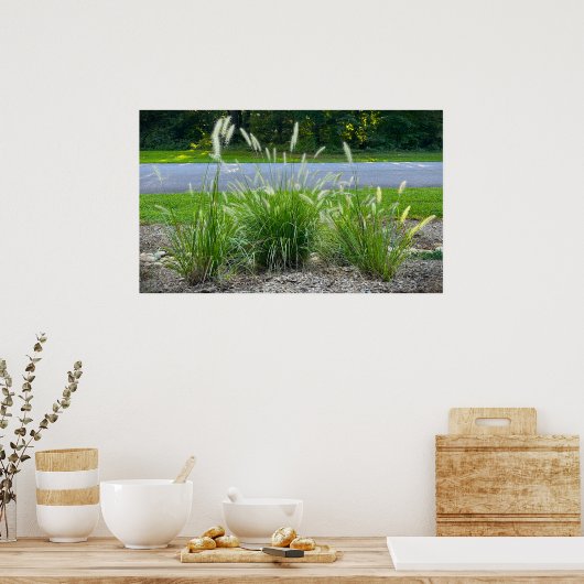 Cassian Fountain Grass, Poster (Keuken)