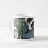 Cassie Koffiemok (Voorkant links)