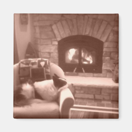 Cassie Magneet (Voorkant)