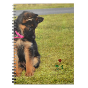 CassieRose.Redig.jpg Notitieboek
