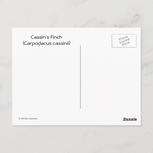 Cassin's Finch Briefkaart (Achterkant)