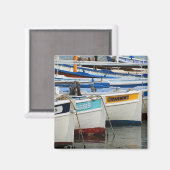 Cassis Magneet (Voorkant / Achterkant)