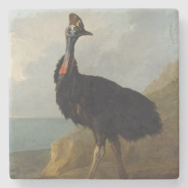 Cassowary (Australian Bird) (Wild Animal Art) Stenen Onderzetter