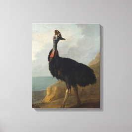 Cassowary (Australische vogel) (Wilde Dierenkunst) Canvas Afdruk