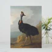 Cassowary (Australische vogel) (Wilde Dierenkunst) Kaart (Staand voorkant)