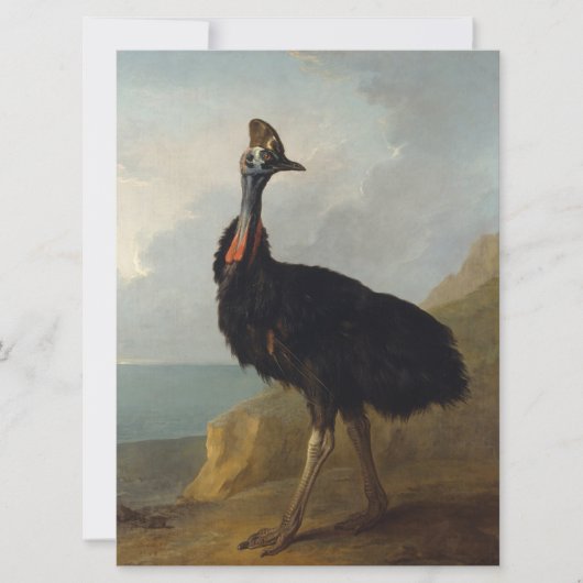 Cassowary (Australische vogel) (Wilde Dierenkunst) Kaart (Voorkant)
