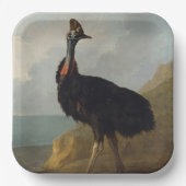 Cassowary (Australische vogel) (Wilde Dierenkunst) Papieren Bordje (Voorkant)