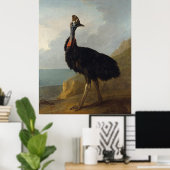 Cassowary (Australische vogel) (Wilde Dierenkunst) Poster (Thuiskantoor)