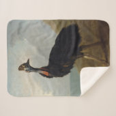 Cassowary (Australische vogel) (Wilde Dierenkunst) Sherpa Deken (Voorkant (horizontaal))