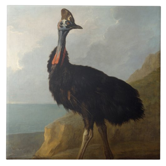 Cassowary (Australische vogel) (Wilde Dierenkunst) Tegeltje (Voorkant)