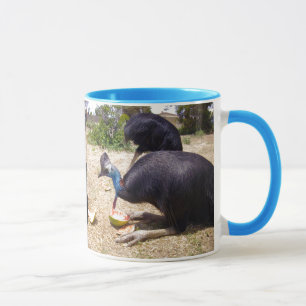 Cassowary Bird Eating Melons Mok