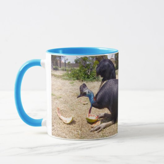 Cassowary Bird Eating Melons Mok (Links)