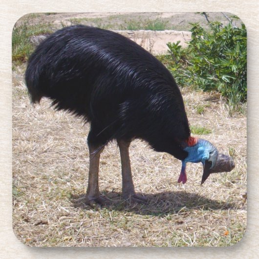 Cassowary Bird Eliminator Bier Onderzetter (Voorkant)