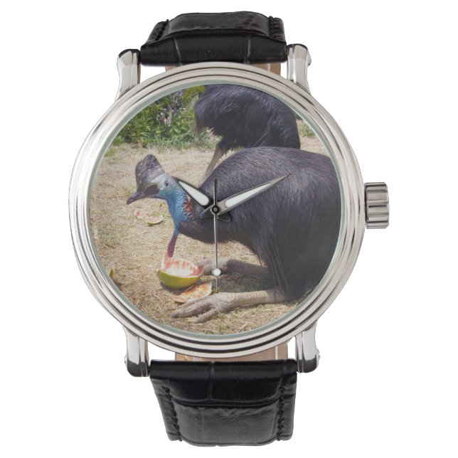 Cassowary Bird Enjoying Melons Horloge (Voorkant)