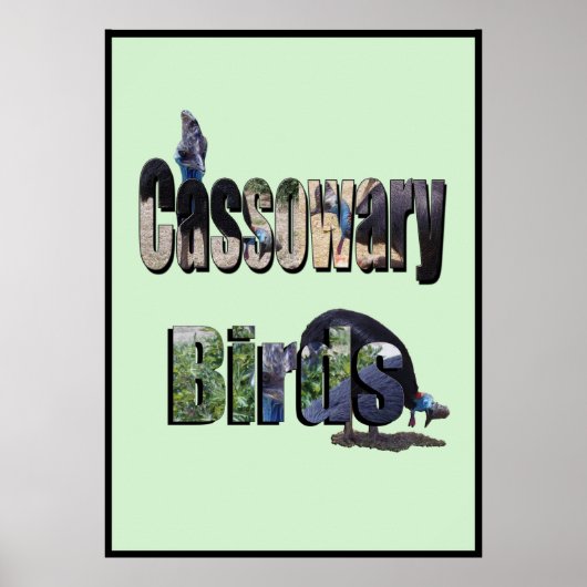 Cassowary Birds Afbeelding naam, Poster (Voorkant)