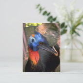 Cassowary Briefkaart (Staand voorkant)
