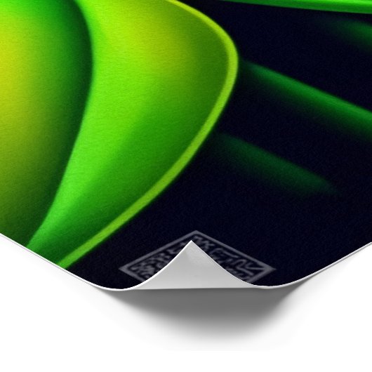 Cassowary - Canvas Art Print (Hoek)