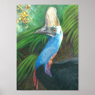 Cassowary Hand schilderde Origineel KunstPoster. Poster