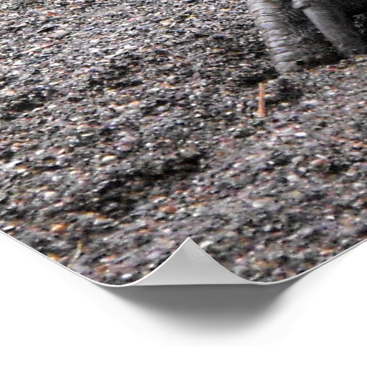 Cassowary in lente poster (Hoek)