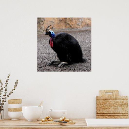 Cassowary in lente poster (Keuken)