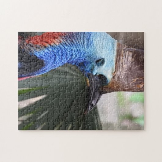 Cassowary Puzzle Legpuzzel (Horizontaal)