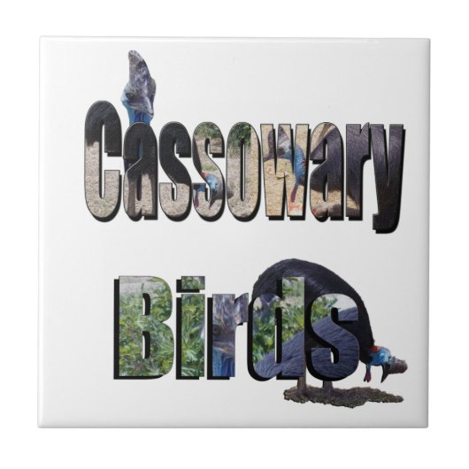 Cassowary Vogels Is De Naam, Tegeltje (Voorkant)