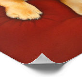 Cassy-Poster Poster (Hoek)