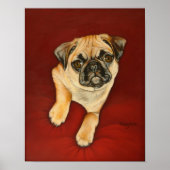 Cassy-Poster Poster (Voorkant)