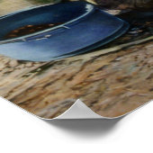 Castañera/Castañeira Poster (Hoek)