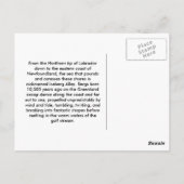 Castaway Briefkaart (Achterkant)