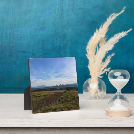 Castaways Park, Newport Beach, Californië Fotoplaat (Insitu)