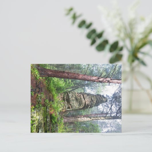 Castellated Mound in State Forest Briefkaart (Staand voorkant)