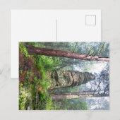 Castellated Mound in State Forest Briefkaart (Voorkant / Achterkant)