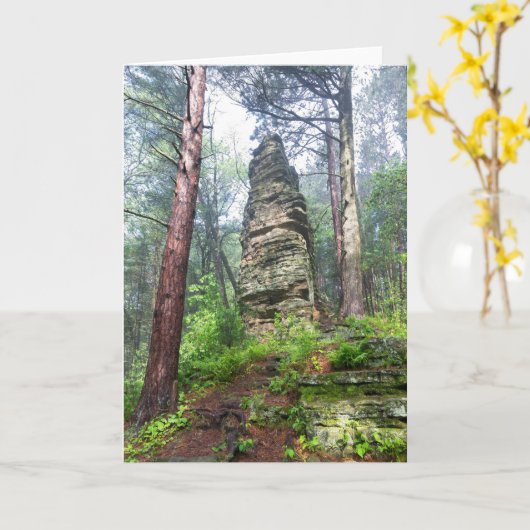 Castellated Mound in State Forest Kaart (Gele Bloem)