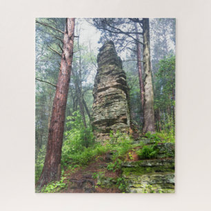 Castellated Mound in State Forest Legpuzzel