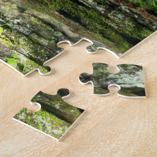 Castellated Mound in State Forest Legpuzzel (Zijkant)