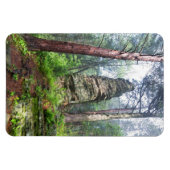 Castellated Mound in State Forest Magneet (Horizontaal)