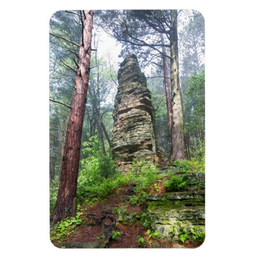Castellated Mound in State Forest Magneet (Verticaal)