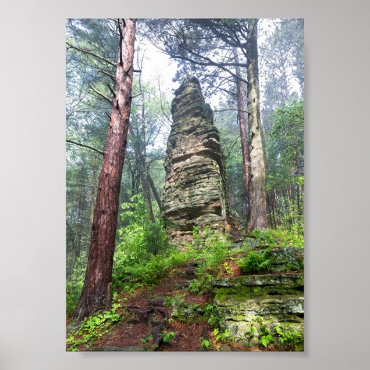 Castellated Mound in State Forest Poster (Voorkant)