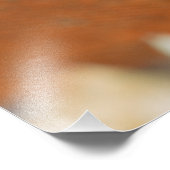 Castelo de Vide daken. Alentejo, Portugal. Foto Afdruk (Hoek)