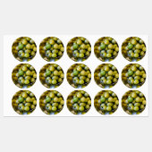 Castelvetrano zoete groene olijven labels (Vel)