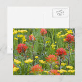 Castilleja en biscuitroot wilde bloemen briefkaart (Voorkant / Achterkant)