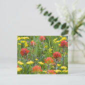 Castilleja en biscuitroot wilde bloemen briefkaart (Staand voorkant)