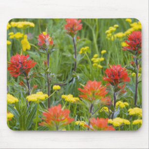 Castilleja en biscuitroot wilde bloemen muismat