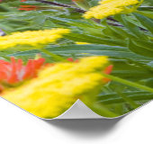 Castilleja en biscuitroot wilde bloemen poster (Hoek)