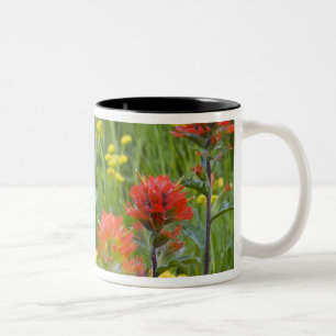 Castilleja en biscuitroot-wildflowers tweekleurige koffiemok