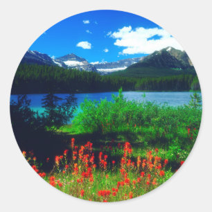 Castilleja-wildbloemen Ronde Sticker