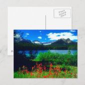 Castilleja-wildebloemen Briefkaart (Voorkant / Achterkant)