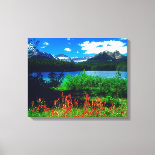Castilleja-wildebloemen Canvas Afdruk (Voorkant)